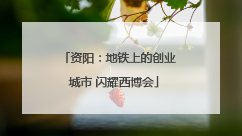 资阳：地铁上的创业城市 闪耀西博会