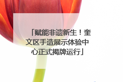 赋能非遗新生！奎文区手造展示体验中心正式揭牌运行