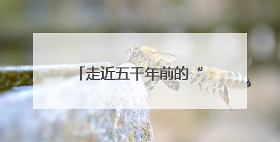 走近五千年前的“三室一厅”，大河村遗址博物馆将开