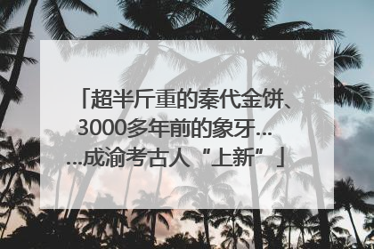超半斤重的秦代金饼、3000多年前的象牙……成渝考古人“上新”