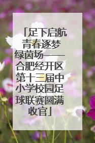 足下启航 青春逐梦绿茵场——合肥经开区第十三届中小学校园足球联赛圆满收官