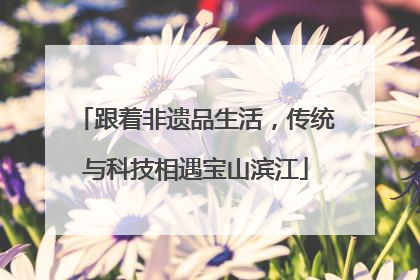 跟着非遗品生活，传统与科技相遇宝山滨江