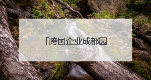 跨国企业成都园区行，意大利企业家忙着加微信，看好成都产业优势