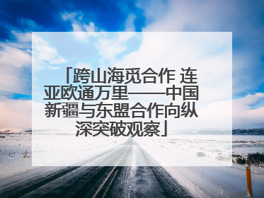 跨山海觅合作 连亚欧通万里——中国新疆与东盟合作向纵深突破观察