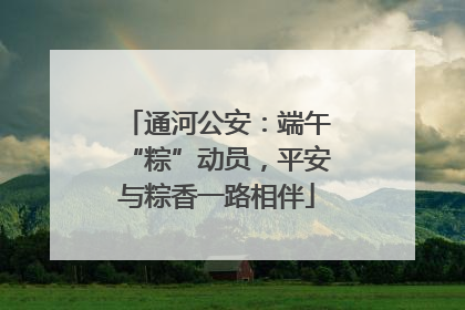 通河公安：端午“粽”动员，平安与粽香一路相伴