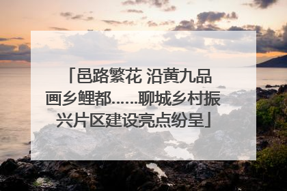 邑路繁花 沿黄九品 画乡鲤都……聊城乡村振兴片区建设亮点纷呈