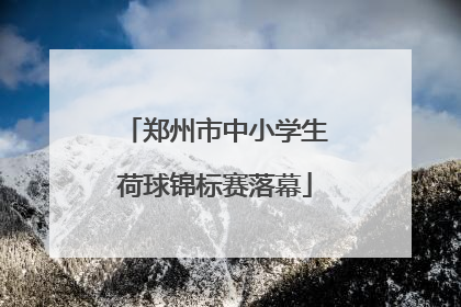 郑州市中小学生荷球锦标赛落幕