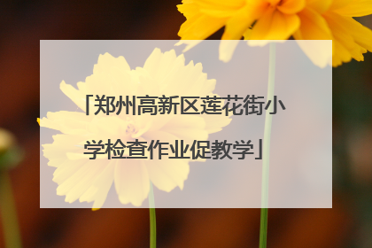 郑州高新区莲花街小学检查作业促教学