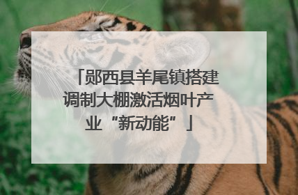 郧西县羊尾镇搭建调制大棚激活烟叶产业“新动能”