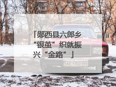 郧西县六郎乡“银茧”织就振兴“金路”