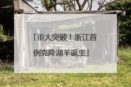 重大突破！浙江首例克隆湖羊诞生