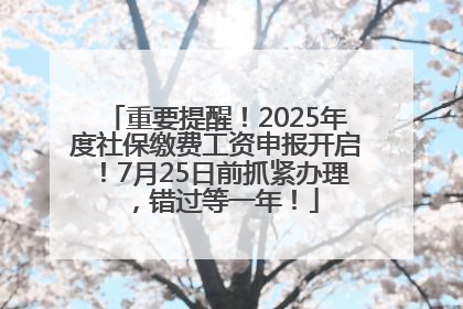 重要提醒！2025年度社保缴费工资申报开启！7月25日前抓紧办理，错过等一年！
