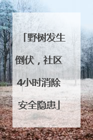 野树发生倒伏，社区4小时消除安全隐患