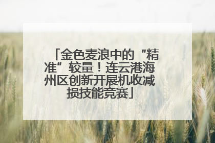 金色麦浪中的“精准”较量！连云港海州区创新开展机收减损技能竞赛