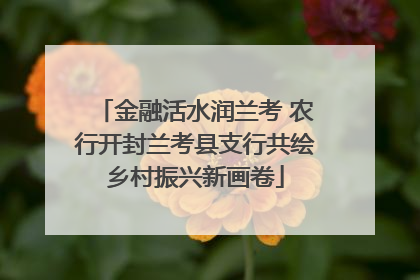 金融活水润兰考 农行开封兰考县支行共绘乡村振兴新画卷