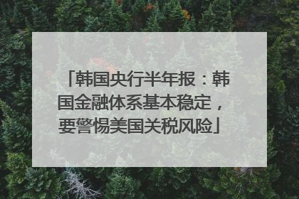 韩国央行半年报：韩国金融体系基本稳定，要警惕美国关税风险