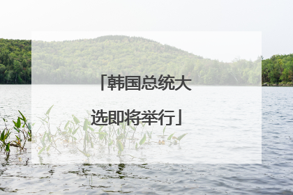 韩国总统大选即将举行