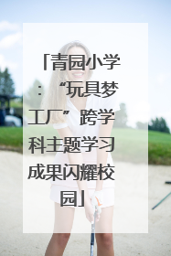 青园小学：“玩具梦工厂”跨学科主题学习成果闪耀校园