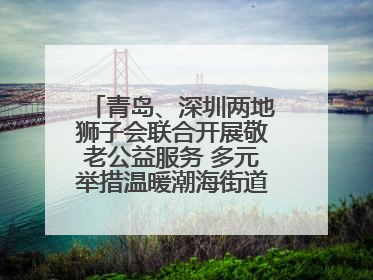 青岛、深圳两地狮子会联合开展敬老公益服务 多元举措温暖潮海街道南杨头村老人