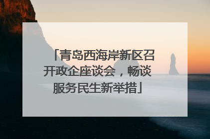 青岛西海岸新区召开政企座谈会，畅谈服务民生新举措