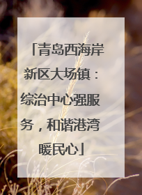 青岛西海岸新区大场镇：综治中心强服务，和谐港湾暖民心