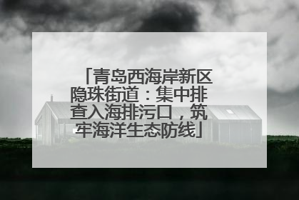 青岛西海岸新区隐珠街道：集中排查入海排污口，筑牢海洋生态防线