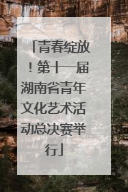 青春绽放！第十一届湖南省青年文化艺术活动总决赛举行