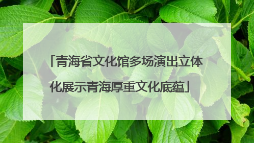 青海省文化馆多场演出立体化展示青海厚重文化底蕴