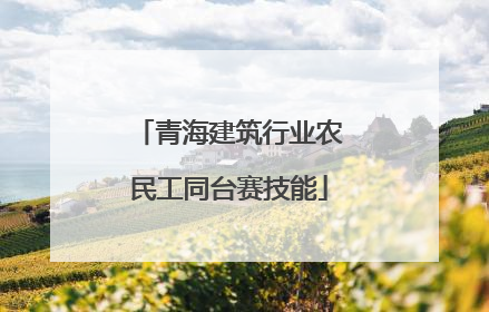 青海建筑行业农民工同台赛技能