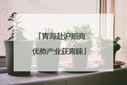 青海赴沪招商 优势产业获青睐