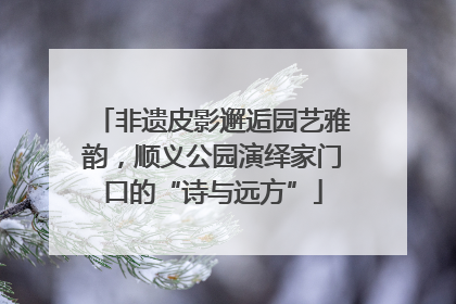 非遗皮影邂逅园艺雅韵，顺义公园演绎家门口的“诗与远方”