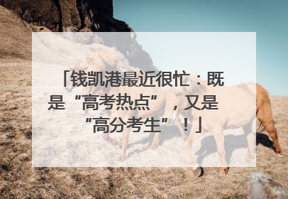 钱凯港最近很忙：既是“高考热点”，又是“高分考生”！