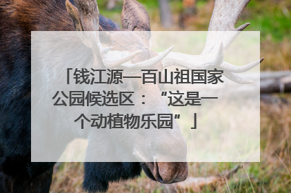 钱江源—百山祖国家公园候选区：“这是一个动植物乐园”
