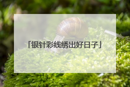 银针彩线绣出好日子