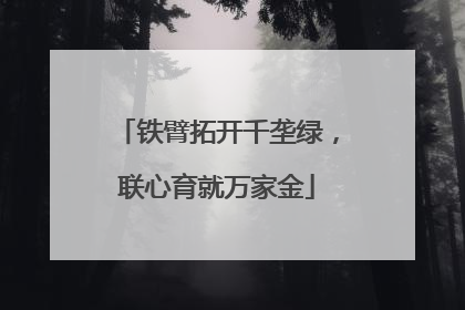 铁臂拓开千垄绿，联心育就万家金