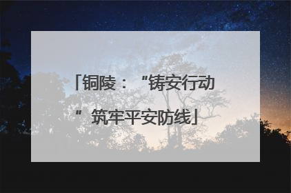 铜陵：“铸安行动”筑牢平安防线