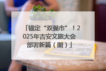 锚定“双强市”！2025年吉安文旅大会部署新篇（图）
