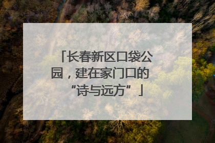 长春新区口袋公园，建在家门口的“诗与远方”