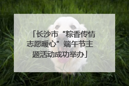 长沙市“粽香传情志愿暖心”端午节主题活动成功举办