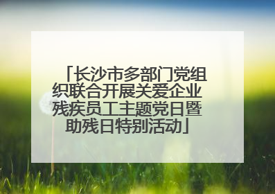 长沙市多部门党组织联合开展关爱企业残疾员工主题党日暨助残日特别活动