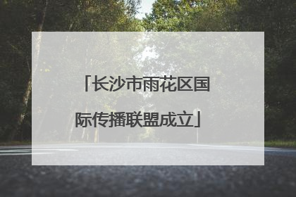 长沙市雨花区国际传播联盟成立