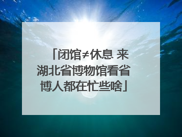 闭馆≠休息 来湖北省博物馆看省博人都在忙些啥