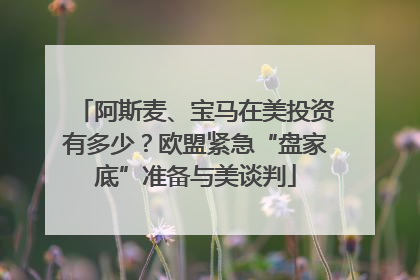 阿斯麦、宝马在美投资有多少？欧盟紧急“盘家底”准备与美谈判