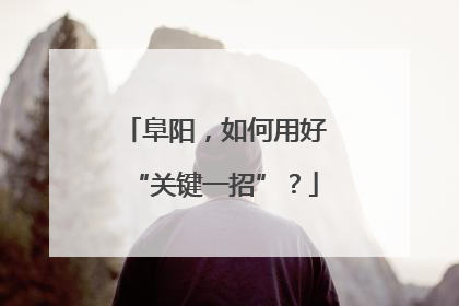 阜阳，如何用好“关键一招”？