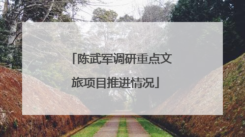 陈武军调研重点文旅项目推进情况