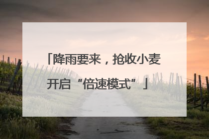 降雨要来，抢收小麦开启“倍速模式”
