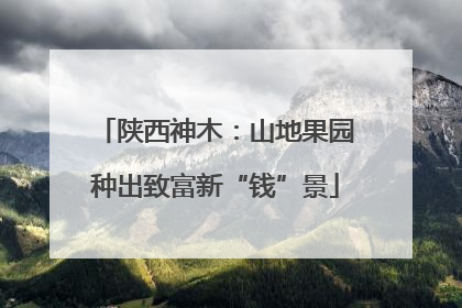 陕西神木：山地果园种出致富新“钱”景