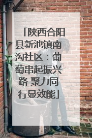 陕西合阳县新池镇南沟社区：葡萄串起振兴路 聚力同行显效能