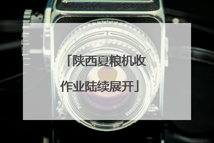 陕西夏粮机收作业陆续展开