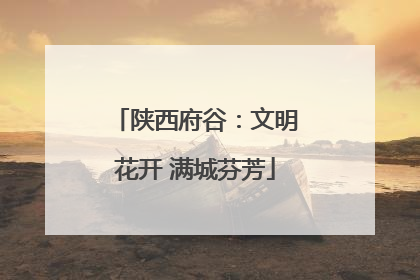 陕西府谷：文明花开 满城芬芳